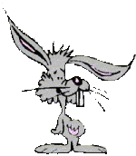 To go to our Rabbit Pages